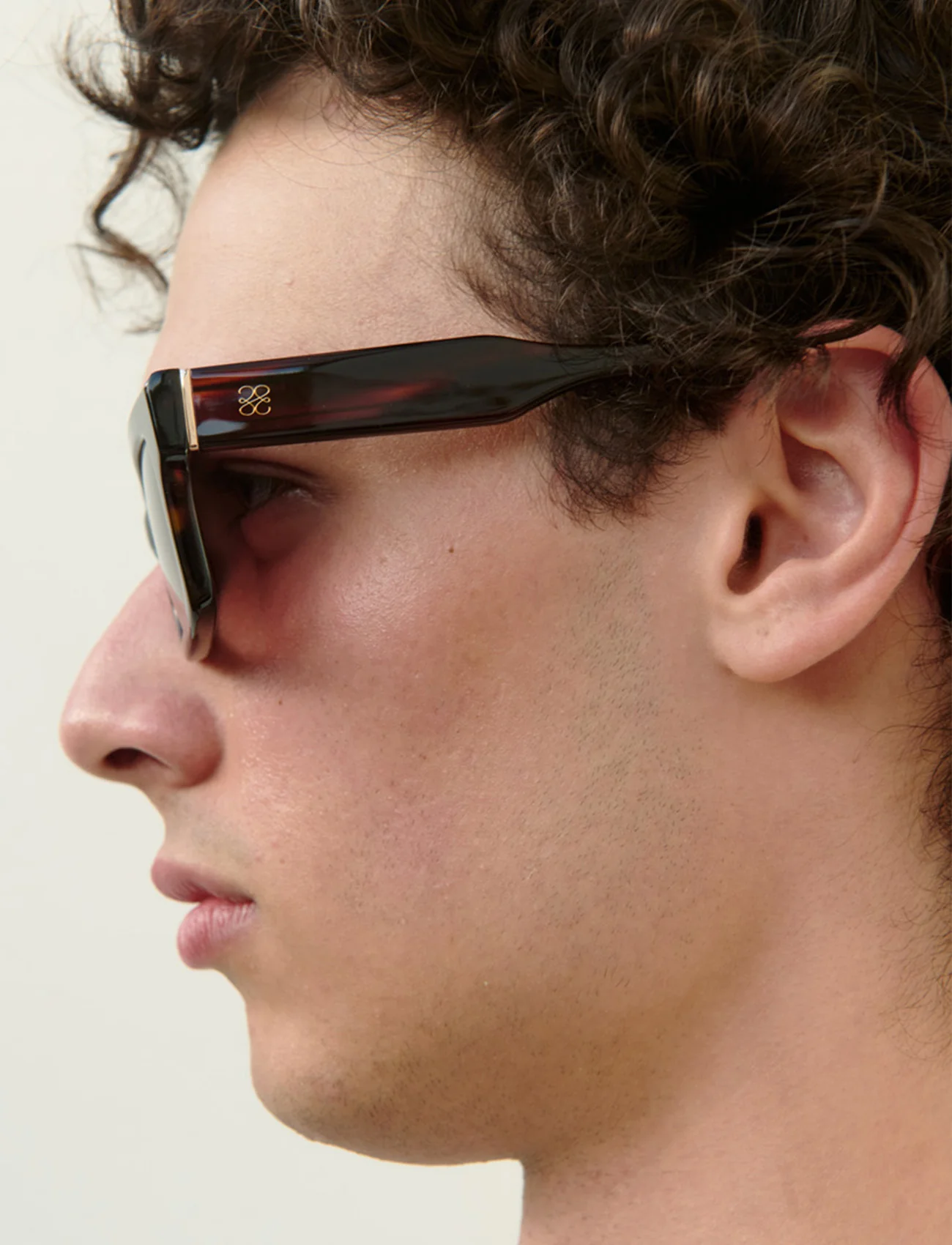 Jasper Sunglasses, Dark Havana - Image 4